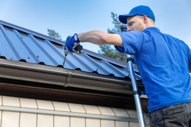 Best Skylight Installation and Repair  in Jesup, GA