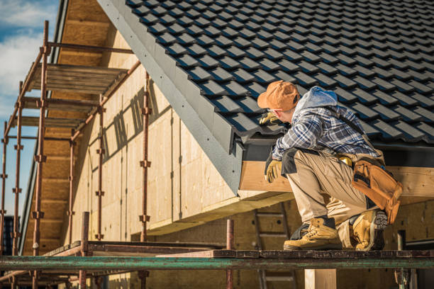 Best Asphalt Shingles Roofing  in Jesup, GA