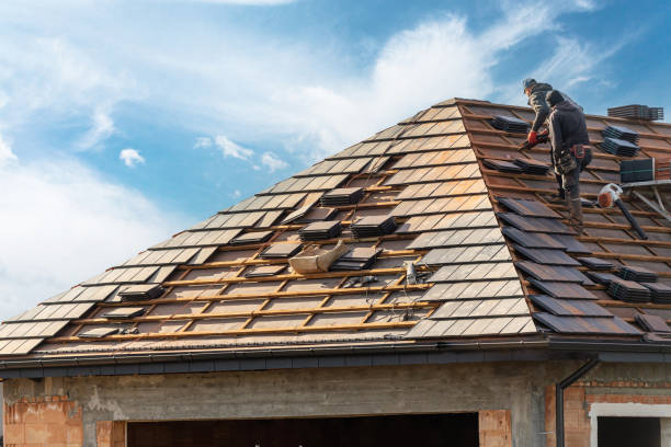 Best Roof Maintenance and Cleaning  in Jesup, GA