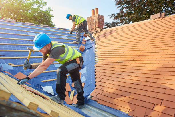 Best Roof Insulation Installation  in Jesup, GA